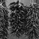 Albuquerque’s Food History is All About Chiles